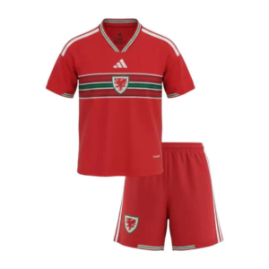 Camiseta Gales 1ª equipación 2026 talla niño